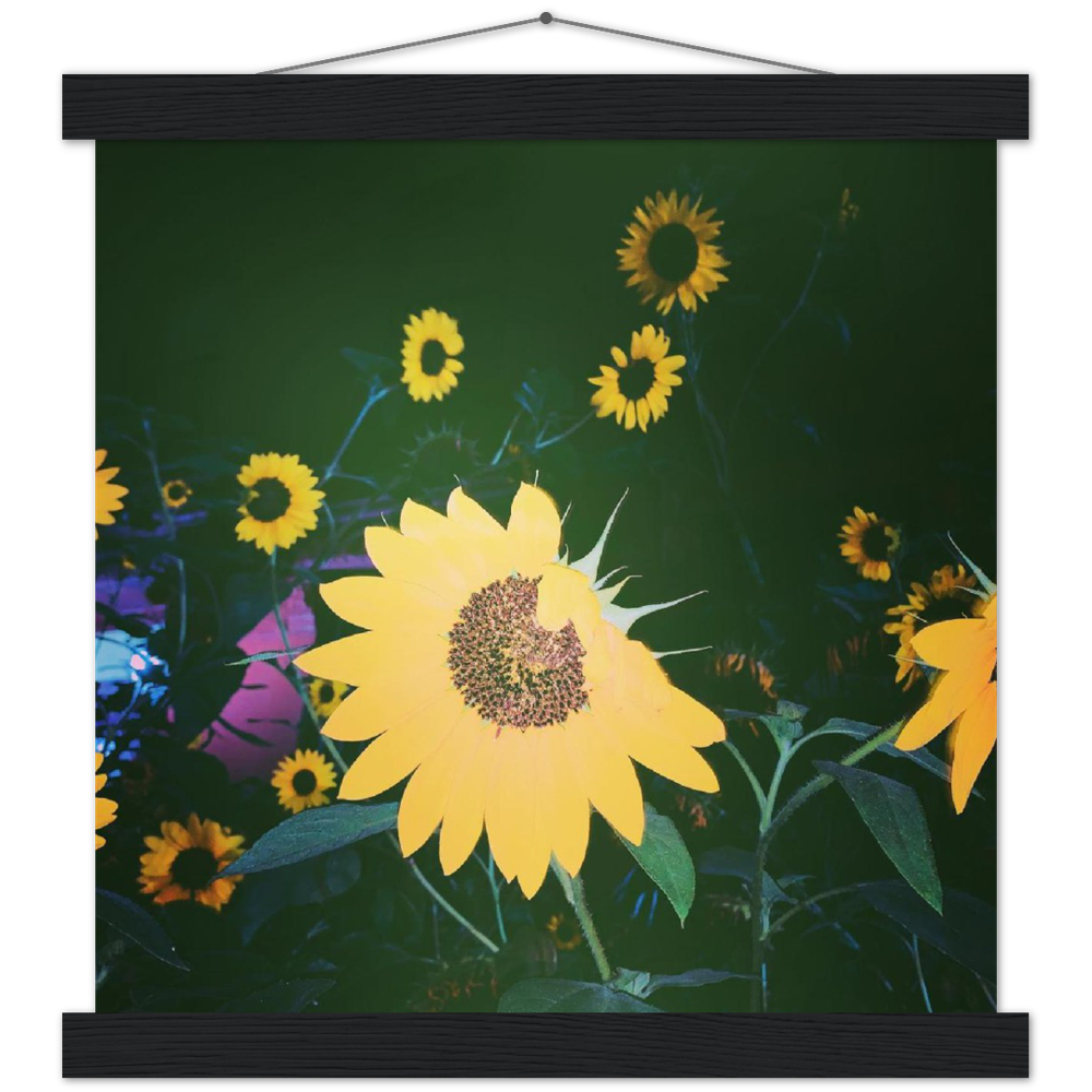 Sunflowers at Night - Matte Photo Print with Hanger